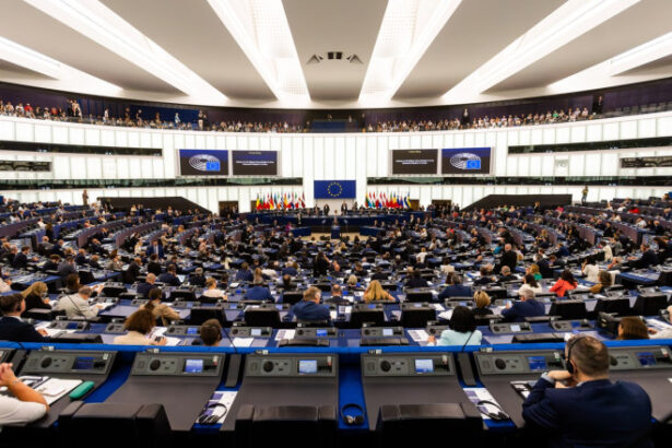 parlamentul european a decis ca abuzurile sexuale impotriva minorilor sa nu se prescrie 6851970ae6742