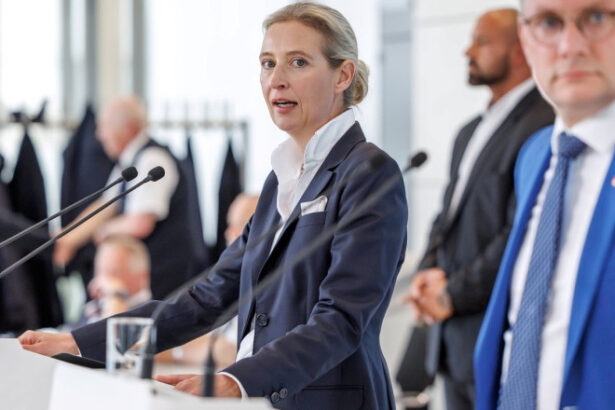 partidul afd adaposteste tot mai multi extremisti de dreapta anunta agentia de spionaj intern a germaniei 684822c022c5e