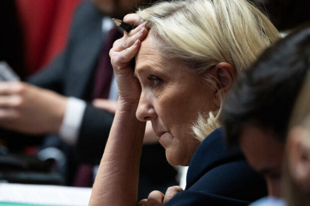 partidul lui marine le pen lidera extremei drepte franceze a refuzat sprijinul administratiei trump care a fost oferta sua reuters 685b75fa1846c