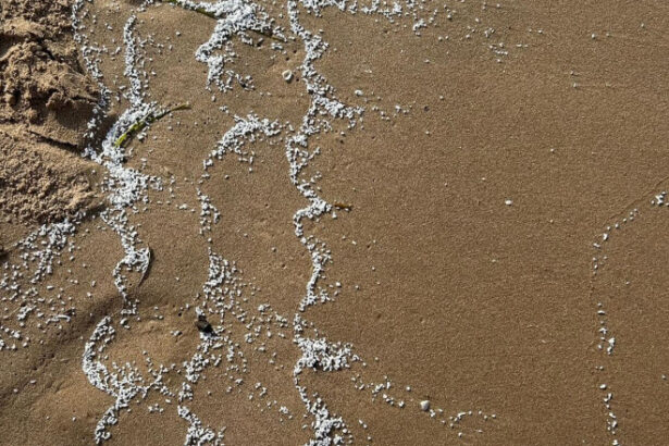 patru plaje de langa valencia au fost inchise dupa ce pe nisip au aparut particule albe misterioase 6847bba0d42cc