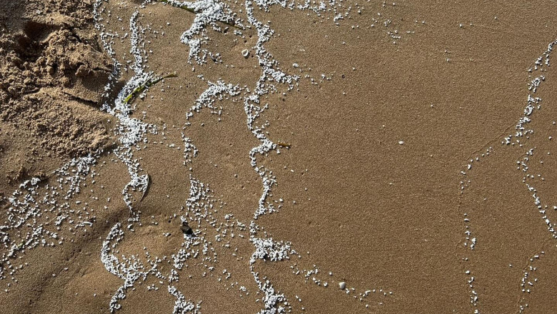 Patru plaje din apropierea Valenciei au fost închise din cauza unor misteriose particule albe apărute pe nisip 1 patru plaje de langa valencia au fost inchise dupa ce pe nisip au aparut particule albe misterioase 6847bba0d42cc