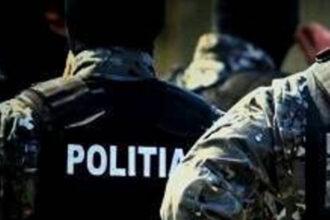 perchezitii ale politistilor timisoreni in 7 judete intr un dosar de evaziune fiscala cu un prejudiciu de 3 milioane de lei 6853ab5276eb7