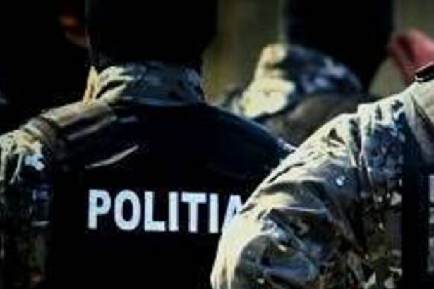perchezitii ale politistilor timisoreni in 7 judete intr un dosar de evaziune fiscala cu un prejudiciu de 3 milioane de lei 6853ab5276eb7