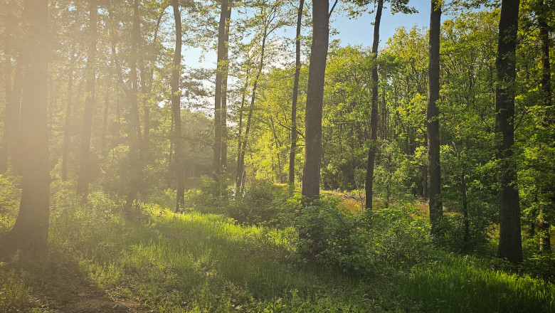 Peste 150 de organizații non-guvernamentale solicită partidelor să integreze în agenda guvernamentală dezvoltarea centurilor verzi în jurul orașelor: „Timpul se scurge” 1 peste 150 de ong uri cer partidelor sa includa in programul de guvernare crearea centurilor verzi in jurul oraselor nu mai avem timp 683f1170a2b23