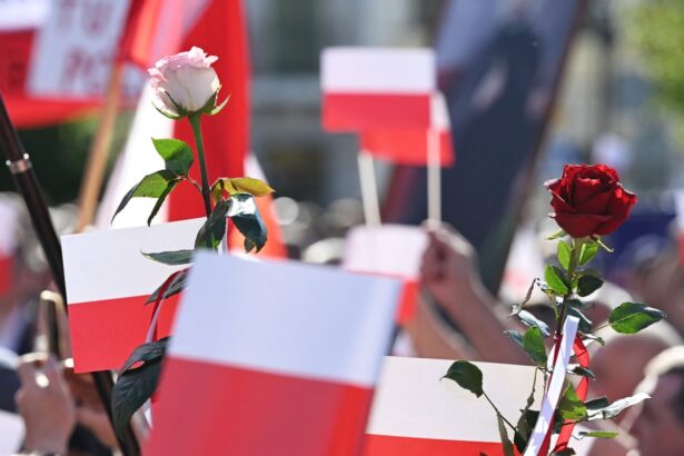 poland goes to the polls in second round of close fought presidential election 683c1135213da
