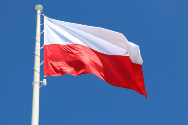 polonia se pregateste de razboi varsovia anunta un plan de evacuare a operelor de arta in caz de conflict 685932d6dddaa