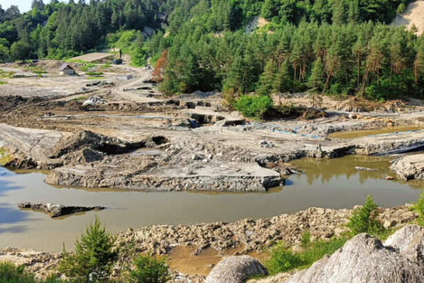 prefectul judetului mures toata lumea vorbeste de praid dar efectele din zona tarnavei sunt mult mai mari 6855745ae28d5