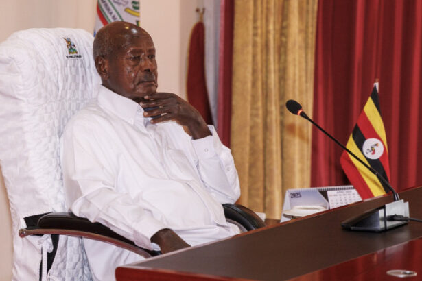 presedintele unei tari africane aflat la putere de 40 de ani va candida pentru un nou mandat 685ab27faf50a