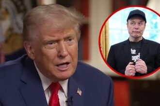 president trump willing to forgive elon musk but not a priority 684995eac26fe