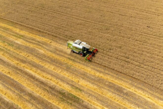 preturile mondiale la alimente au scazut in luna mai in urma ieftinirii cerealelor zaharului si uleiului 6842d851ab630