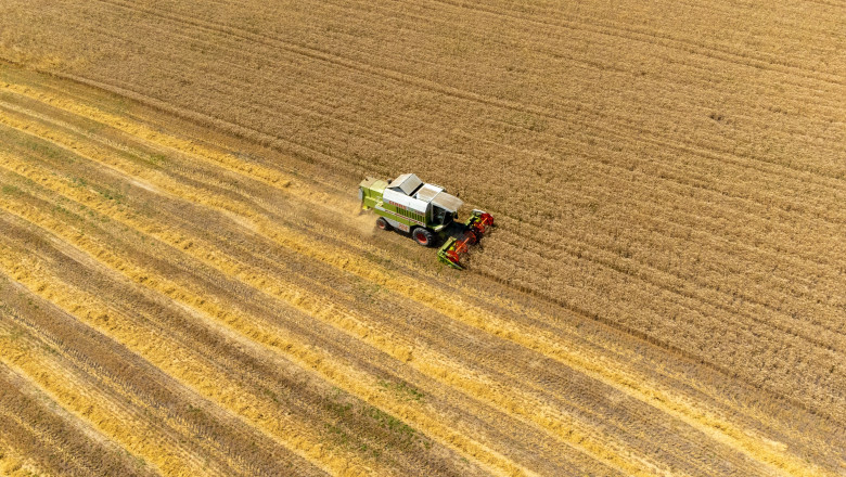 Prețurile internaționale ale alimentelor au înregistrat o cădere în luna mai, datorită reducerii costurilor la cereale, zahăr și ulei 1 preturile mondiale la alimente au scazut in luna mai in urma ieftinirii cerealelor zaharului si uleiului 6842d851ab630