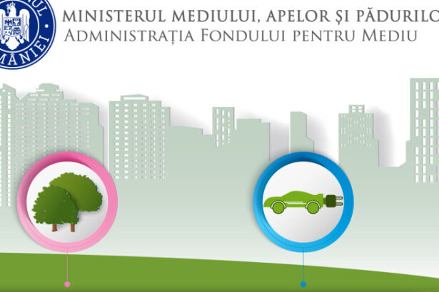 programele de finantare ale administratiei fondului de mediu inclusiv rabla pentru persoane fizice suspendate care e motivul 6852a72e359f3