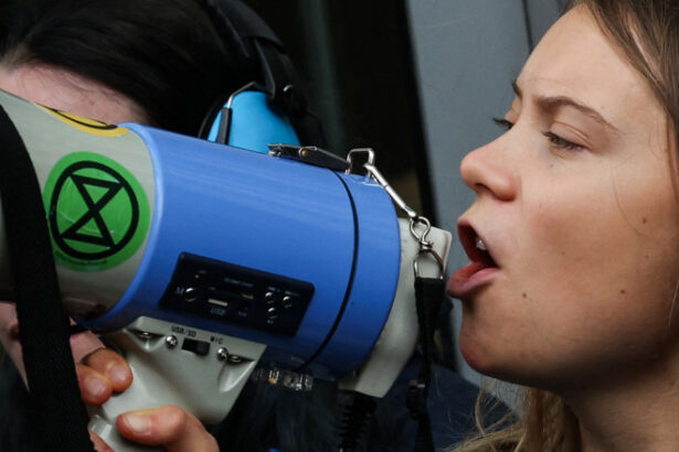 recent deportata din israel greta thunberg riposteaza la remarca lui donald trump care a numit o ciudata si furioasa 68486eed0d06b