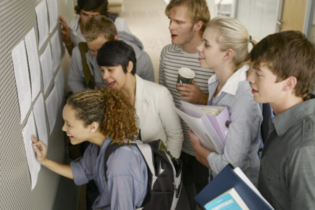 rezultate la bacalaureat 2025 la ce ora se afiseaza notele finale dupa solutionarea contestatiilor 68619563194ae