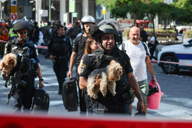 romania permite intrarea animalelor de companie din israel chiar si fara vaccin sau microcip in baza unui formular 685abab48d676