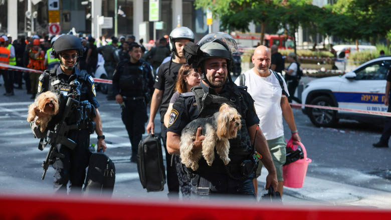 România acceptă sosirea animalelor de companie din Israel fără vaccin sau microcip, cu condiția completării unui formular. 1 romania permite intrarea animalelor de companie din israel chiar si fara vaccin sau microcip in baza unui formular 685abab48d676