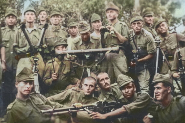 romania va sarbatori ziua victoriei pe 8 mai o data cu tarile occidentale legea votata in parlament 684973512169f