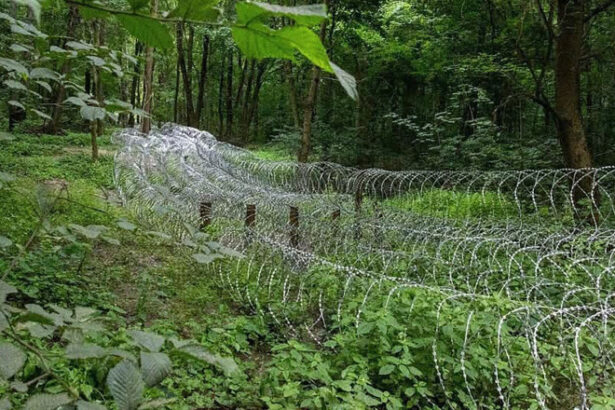 rusia a concentrat 50 000 de militari in jurul sumi punand ucraina in dificultate wall street journal 6862ac64d20fe