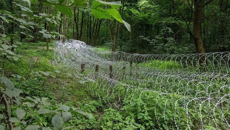 Rusia a desfășurat 50.000 de soldați în apropierea Sumî, complicând situația Ucrainei. 1 rusia a concentrat 50 000 de militari in jurul sumi punand ucraina in dificultate wall street journal 6862ac64d20fe