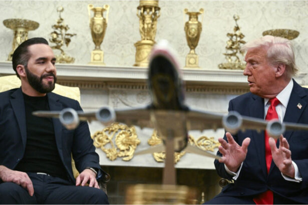 secretul murdar al presedintelui favorit al lui trump jurnalisti arestati dupa dezvaluirea pactului celui mai cool dictator cu mafia 683bd715d04c4