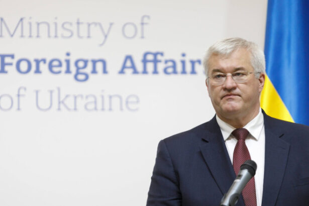 seful diplomatiei ucrainene dezvaluie cum va incerca tara sa sa puna capat razboiului in acest an a sosit timpul 684aeb408a250