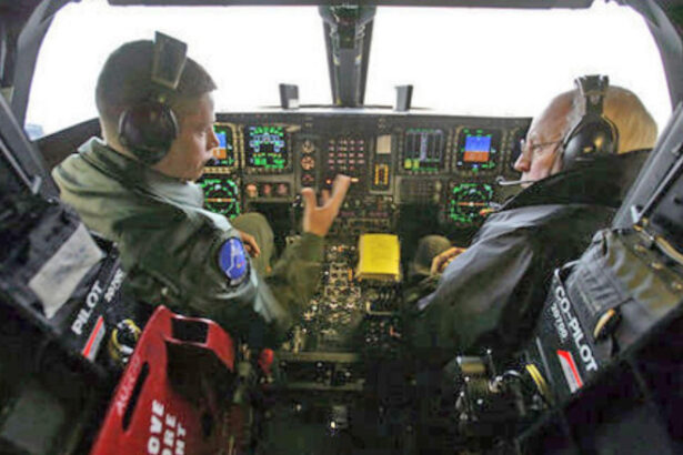 semintele de floarea soarelui ingredientul secret care ii ajuta pe pilotii bombardierelor b 2 sa stea treji in timpul misiunilor 685aa9176c339