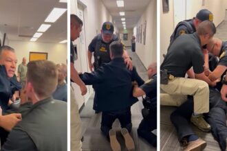 senator physically ejected detained at dhs secretary noems l a press conference on camera 684b2da726e11
