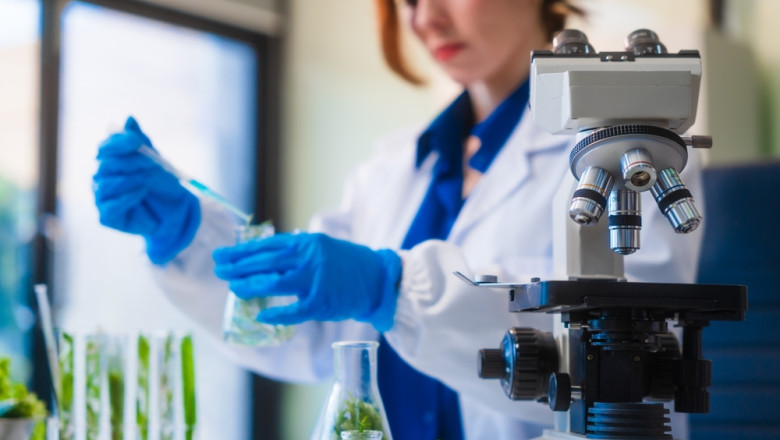 Speranță în bătălia contra cancerului pancreatic: Un test inovator din Marea Britanie aduce promisiunea depistării precoce 1 speranta in lupta cu cancerul pancreatic un nou test descoperit in marea britanie promite depistarea timpurie 685259e482c75