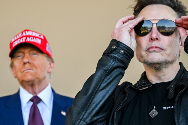 stephen king ironizeaza cearta dintre trump si musk doi miliardari se cearta ca niste pisici cui ii pasa 684468d6607ae