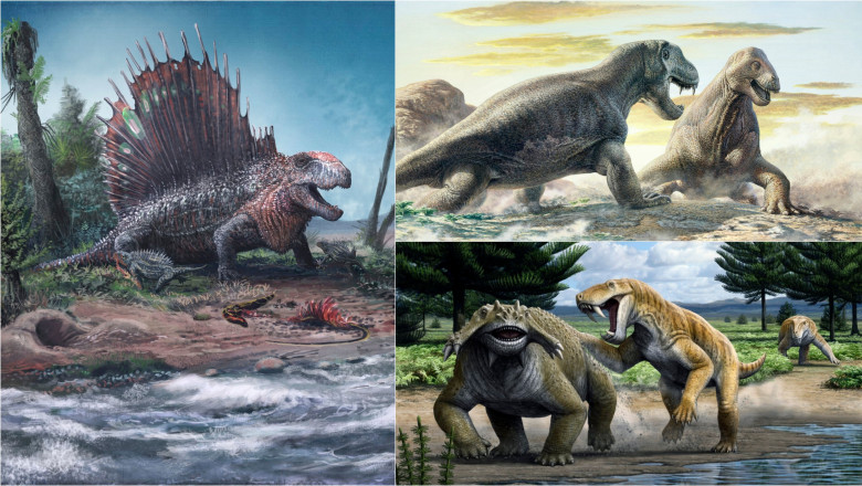 „Monștrii prădători care au cucerit Terra înainte de dinozauri: O privire asupra terifiantelor creaturi din epoca Pangeei” 1 super carnivorele care au dominat pamantul inaintea dinozaurilor cum aratau monstrii de cosmar de la inceputurile pangeei 6861a7330bdd8