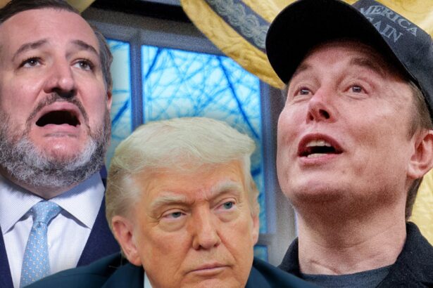 ted cruz says he was with donald trump during elon musk x attack 6845a3c2723ad