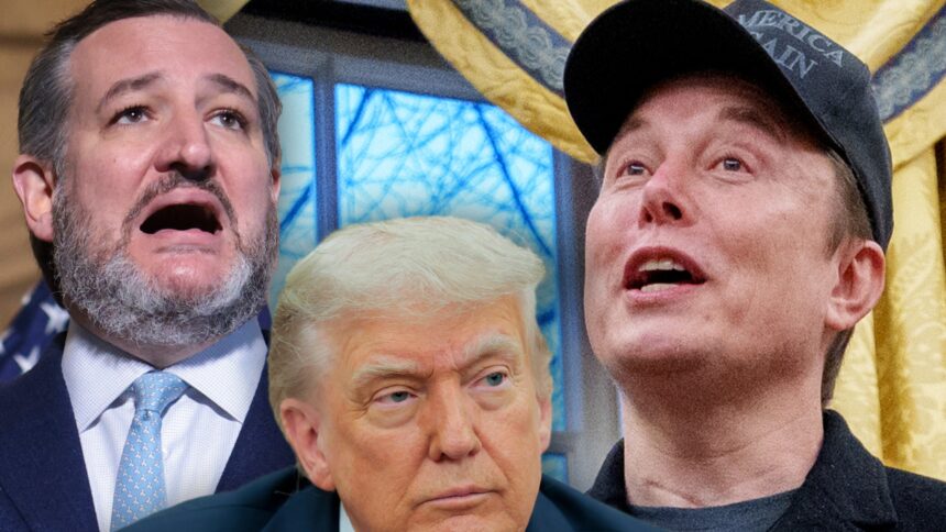 Ted Cruz Declară că A Fost Alături de Donald Trump în Timpul Criticii lui Elon Musk 1 ted cruz says he was with donald trump during elon musk x attack 6845a3c2723ad
