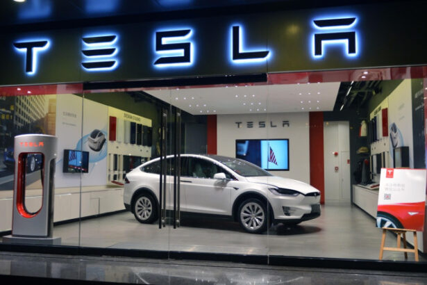 tesla pierde teren in europa in fata masinilor chinezesti vanzarile companiei americane au scazut pentru a cincea luna consecutiv 685cc6350a01a