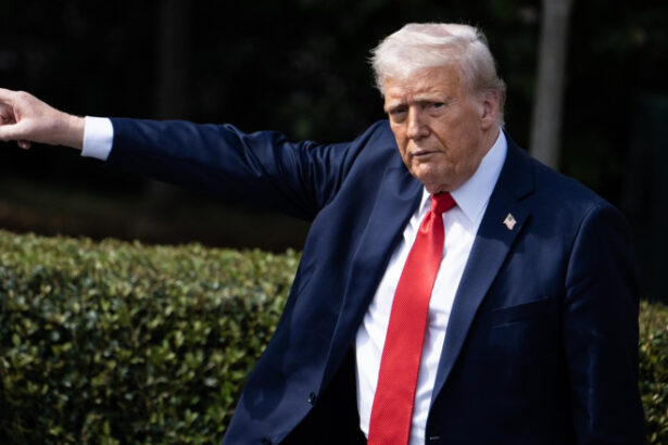 trump interzice intrarea in sua pentru cetatenii din 12 tari nu vom permite ca ce s a intamplat in europa sa se intample in america 684125494237d