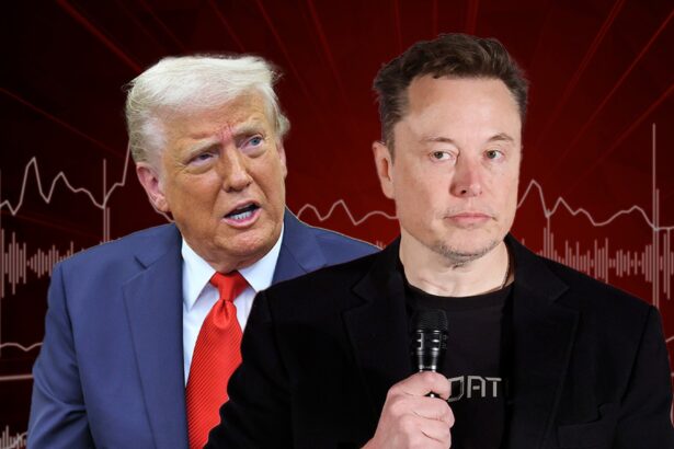 trump says elon has lost his mind but hes not wasting his time on feud 6842f2a600f43