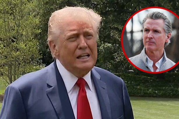 trump says he would arrest california governor gavin newsom 684736c653dba
