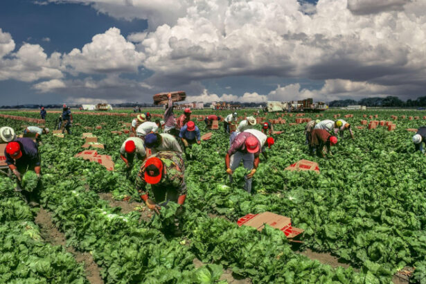 trump spune ca administratia sua lucreaza la introducerea unui permis temporar pentru imigrantii din anumite sectoare ale economiei 6861a90e97fed