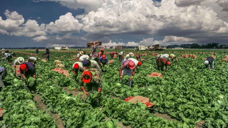 Trump anunță că guvernul american pregătește un „permis provizoriu” pentru imigranții din domeniile selectate ale economiei. 1 trump spune ca administratia sua lucreaza la introducerea unui permis temporar pentru imigrantii din anumite sectoare ale economiei 6861a90e97fed