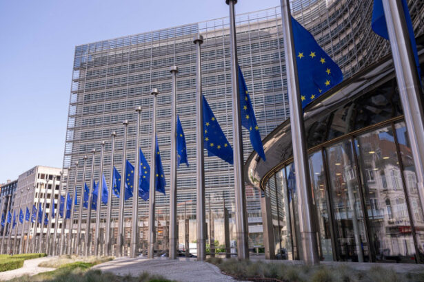 ue afirma ca israelul ar fi incalcat obligatiile privind drepturile omului din acordul de asociere 68568d6a60fe4