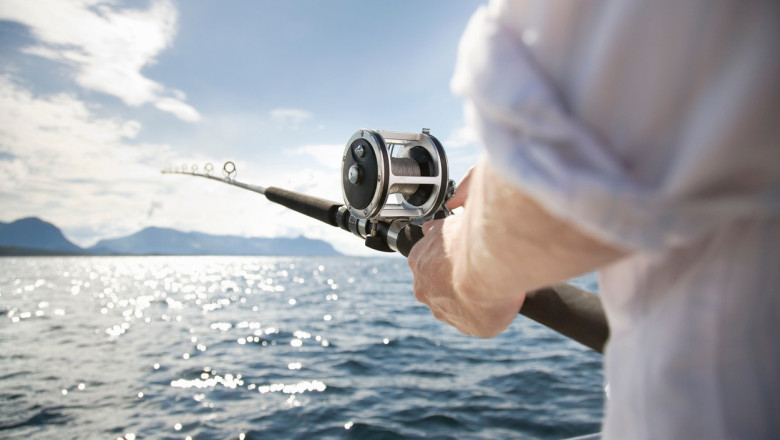 Tragedie pe malul apei: un pescar din Dolj își pierde viața după ce undița atinge cablurile de înaltă tensiune 1 un barbat din dolj a murit electrocutat in timp ce pescuia undita a atins cablurile de inalta tensiune aflate deasupra locului 6857fb42c4e87