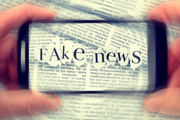 un institut international dezvaluie care a fost principala provocare in super anul electoral 2024 ce s a intamplat in romania 6846a5e48e34d