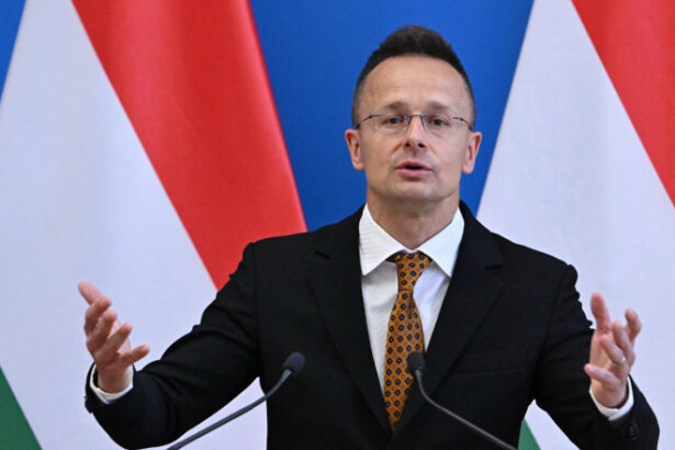 ungaria va cumpara in continuare petrol si gaze din rusia desi ue vrea sa opreasca toate importurile din aceasta tara 685414a601d04