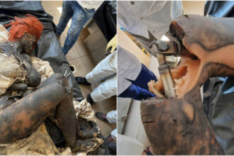 video alerta falsa la ploiesti o papusa de plastic a fost transportata la inml dupa ce a fost confundata cu cadavrul unei femei 685ac1b584413