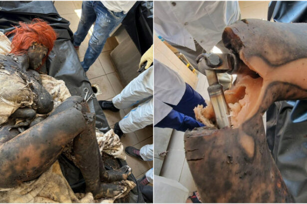 video alerta falsa la ploiesti o papusa de plastic a fost transportata la inml dupa ce a fost confundata cu cadavrul unei femei 685ac1b584413