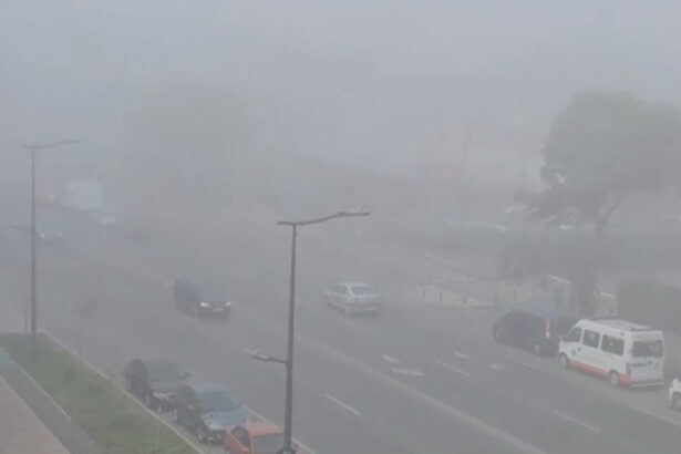 video alerta meteo pe litoral cod galben de ceata au fost impuse restrictii in porturile constanta nord si sud agigea 68428407ae206