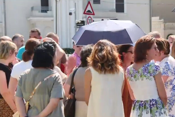 video angajatii de la guvern au protestat la palatul victoria sunt nemultumiti de reducerea sporurilor 685e69a86e05f