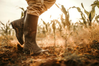video au secat si izvoarele in munte risc de seceta severa in romania masura extrema luata deja in mai multe judete din tara 685cd5c550391