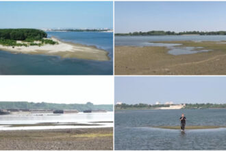video canicula scade alarmant debitul dunarii judetul in care fluviul poate fi trecut la pas pe anumite portiuni 68564e5a295a9