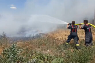 video care sunt cele mai expuse judete la incendiile de vegetatie si cum vor fi monitorizate de autoritati 6850eabc0a844