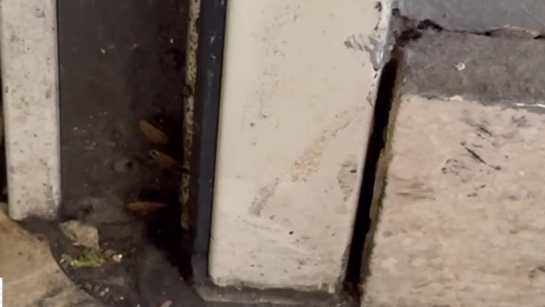 Inspectorii ANPC au revenit la restaurantul chinezesc dintr-un mall bucureștean: gândaci, alimente expirate și igienă precară 1 video comisarii anpc au controlat din nou restaurantul chinezesc dintr un mall al capitalei gandaci produse expirate si pereti murdari 685783b2843b2